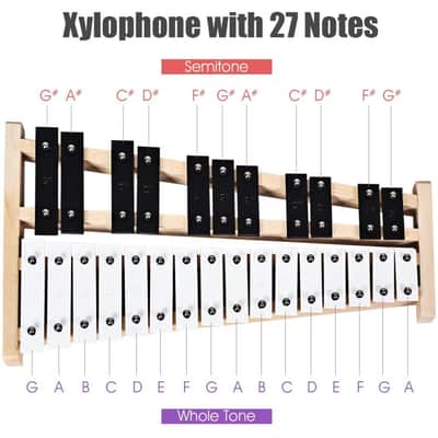 Other Sonart Xylophone Wooden Percussion 2023 - Black & White image 3