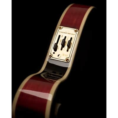 Washburn M3SWETWRK Americana Series Florentine F-Style 8-String Acoustic-Electric Mandolin w/Hard Case image 2