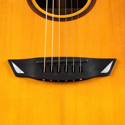 Cort LUXEII Luxe Series Frank Gambale Concert Body Mahogany Nek 6-String Acoustic-Electric Guitar w/Hard Case image 12