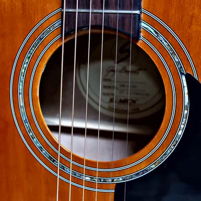 Samick  Greg Bennett OM-1/ BS image 8
