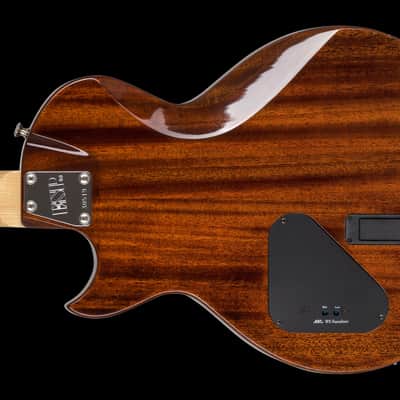 ESP Eclipse Semi-Acoustic Nylon - See Thru Black - Custom Shop image 7