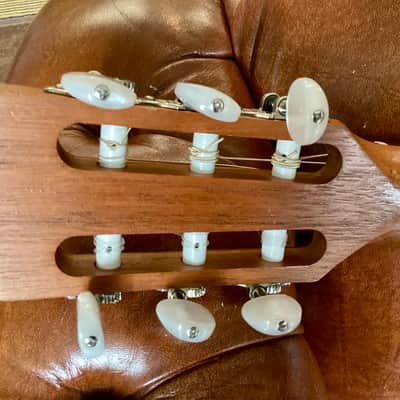 Taylor 214 CE-N with gig bag image 6