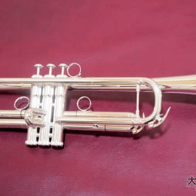 Brasspire Unicorn BPTR-770S (new) B♭ trumpet | Reverb
