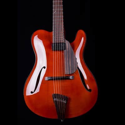 Tim Bram Guitars Tribute image 2
