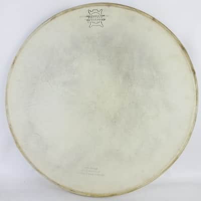 George Stone 14" Calf Skin Snare Drum Batter Head Leedy Waybest Way Vintage1900s image 1
