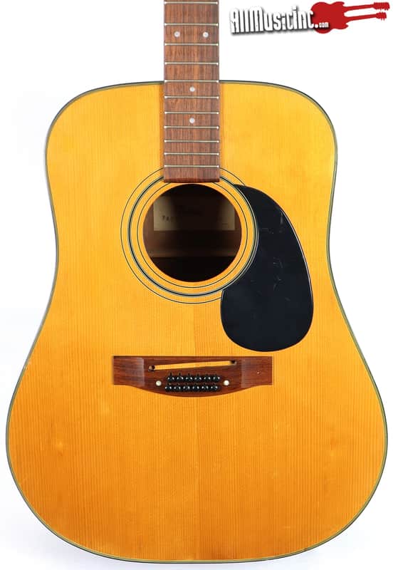 Vintage Tokai Gakki Japan DM12-5 12-string Acoustic Guitar Project image 1