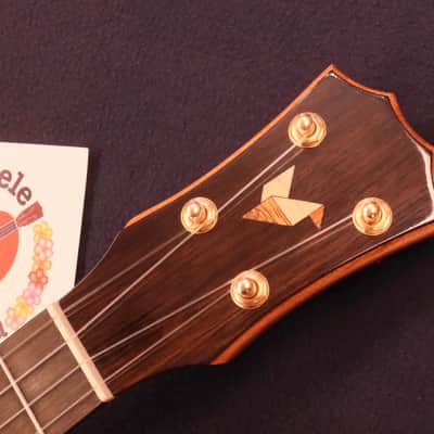 Rebel Curly Mango Gloss Tenor with Ebony Fretboard & Bridge #5151 image 11