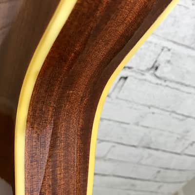 Vintage 1965 Burns Baldwin GB-65 Hollowbody image 17