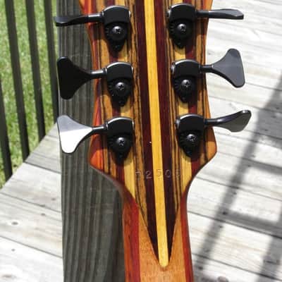 2006 Carl Thompson Rainbow 6-string Fretless Bass image 6