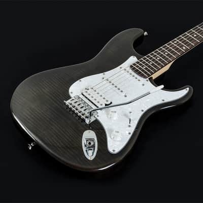 Washburn SDFTB Deluxe Sonamaster Double Cut Solid Body Flame Maple Top Maple Bolt-on Maple Neck 6-String Electric Guitar image 1