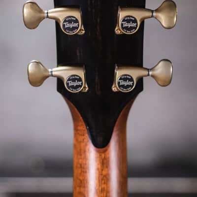 Taylor PS14ce Honduran Rosewood/Sinker Redwood Acoustic/Electric with Deluxe with Hardshell Case image 8