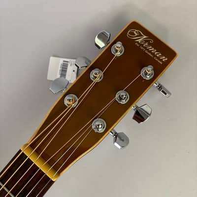 Norman B20 image 4
