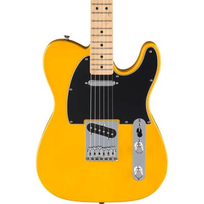 Fender Standard Telecaster  Butterscotch Blonde image 1