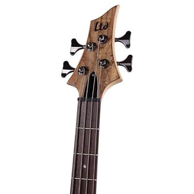 ESP LTD B-204 Bass Guitar image 4