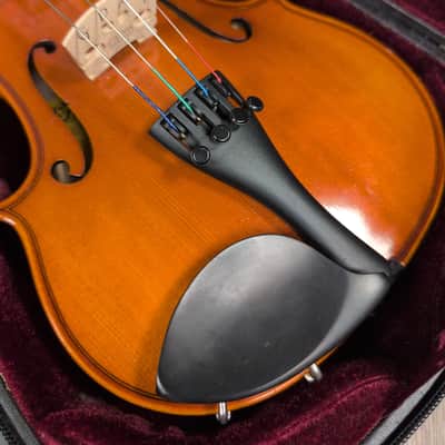 Eastman VL100 2013 - Narural image 4