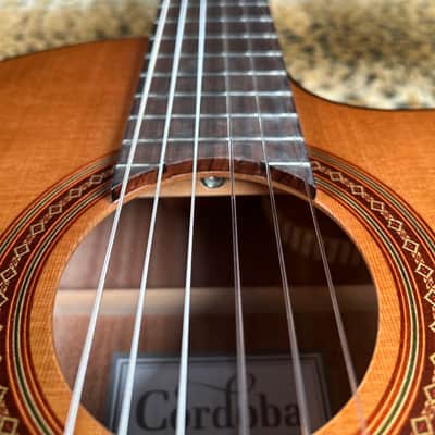 Cordoba C5-CE Classical with Electronics 2025 - Natural image 9