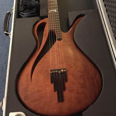 Paradis Avalon Nylon String Electric Polyphonic Guitar image 2