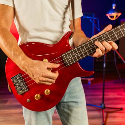Washburn SB4R | Wing Series Scavenger Electric Bass, Trans Red. New with Full Warranty! image 9
