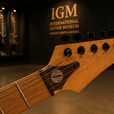 NORTON PYTHON 1992. Museum Specimen Guitar. Steel frame guitar. Ultra Rare. From Museum. image 14