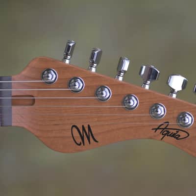 Mayones Aquila Aged 6 V24 - Monolith Daphne Blue Nitro(Relic) image 2