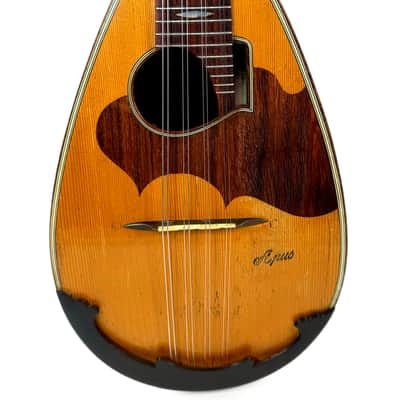 G. Kasermann Concert Mandolin (Apus Mark) 1920’s image 2