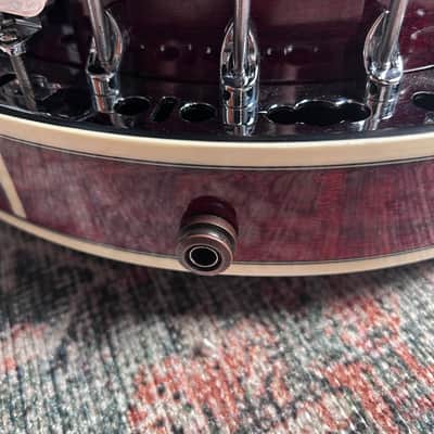 Fender Rustler 6-String Resonator Banjo Sunburst W/ Case image 7