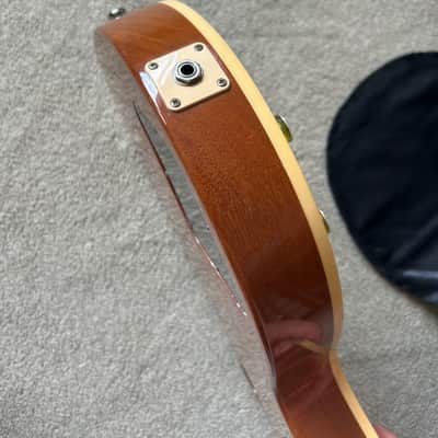Gibson Les Paul Standard with '50s Neck Profile 2004 - 2007 - Goldtop image 14