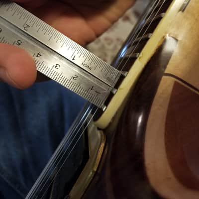Phiga Eagle Guitar image 14