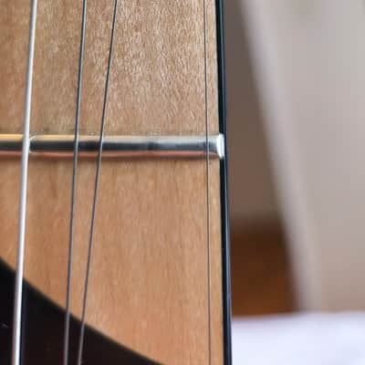 Jackson Pro Series DK2M Dinky image 16
