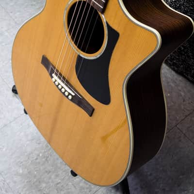 Eastman PCH2-GACE - Natural image 4
