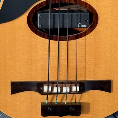 Citron AE-4 Swallow Bass 2009  - killer all around invention from Harvey Citron of Velette-Citron Basses. image 11