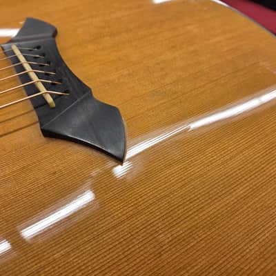 Breedlove Focus Acoustic Electric with Case 2001 - Natural image 12