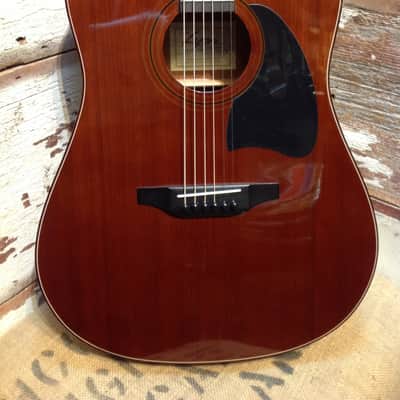 Lyon by Washburn LD-7M Dreadnought Acoustic Guitar image 1