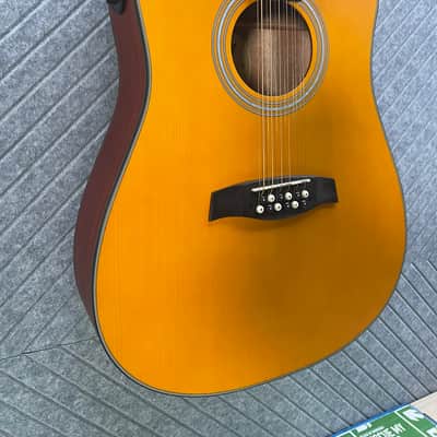 Fesley FDET280C 12 String SkunkWerx Stage Ready IN USA SETUP String Joy 2025 - Natural image 3