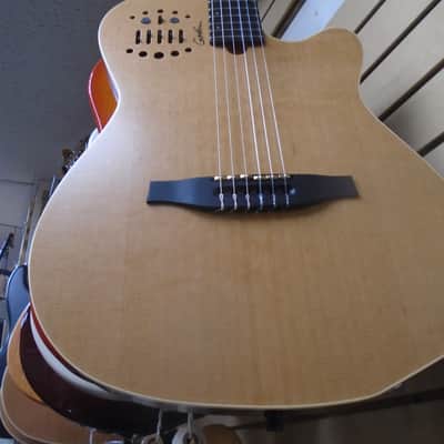 Godin Multiac ACS SA Slim Nylon  w/bag , store demo image 1