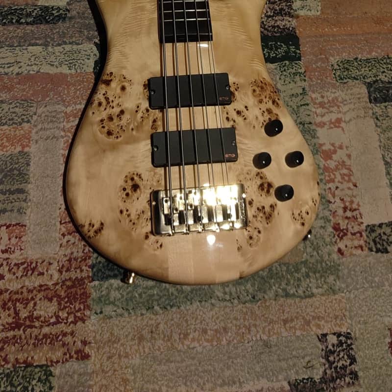2010s Spector Euro 5 LX Poplar Burl Gloss