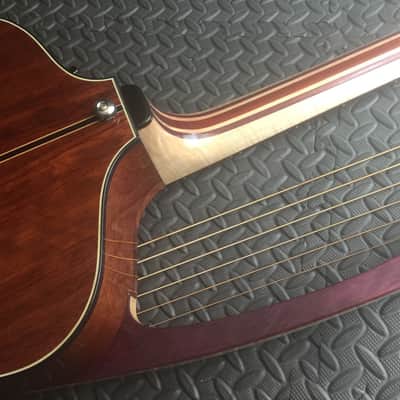 Extraordinary Near Mint Virtuoso Custom Telesis Bespoke 20 String Electro-Acoustic Harp Guitar image 15
