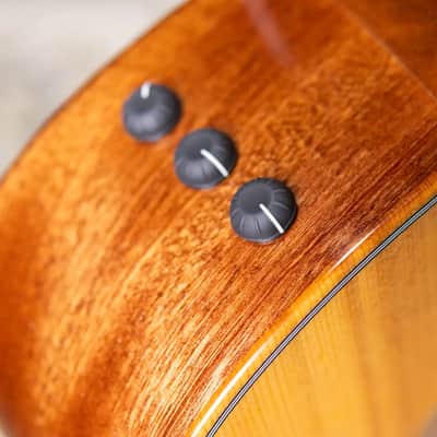 Taylor 314ce Studio Grand Auditorium Acoustic/Electric Guitar - Natural with Gig Bag image 9