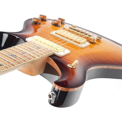 PRS Wood Library McCarty 594 Artist Package 2017 image 10