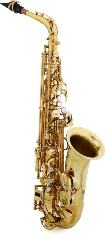 Yanagisawa A-WO1 Professional Alto Saxophone - Unlacquered image 1
