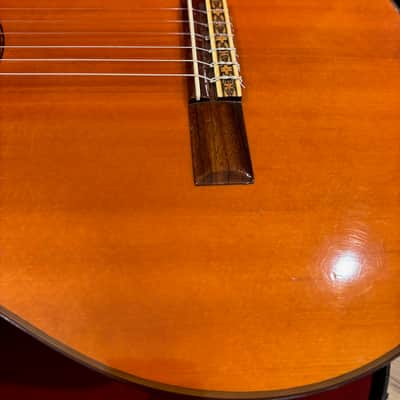 Vintage 60's Ariel (Aria) Model 80 Classical guitar MIJ image 4