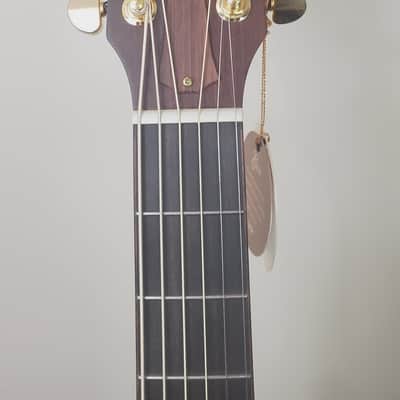 2001 Taylor Signature Model Leo Kottke 6-string image 2