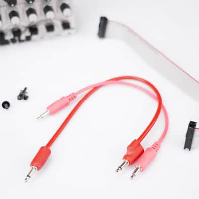 Detroit Underground DU SEQ Eurorack Module w/ Tiptop Stackcables #58570 image 11