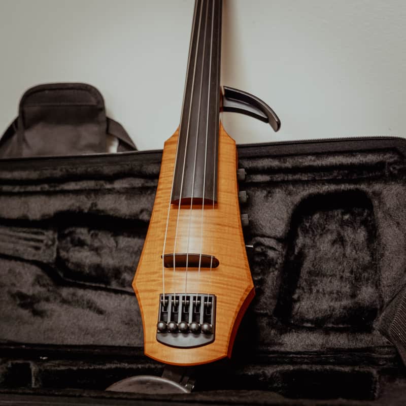 NS Design CR 5-String Electric Violin w/Case image 1