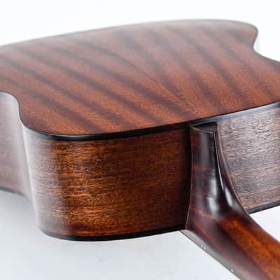 Eastman E1SS Sunburst image 9