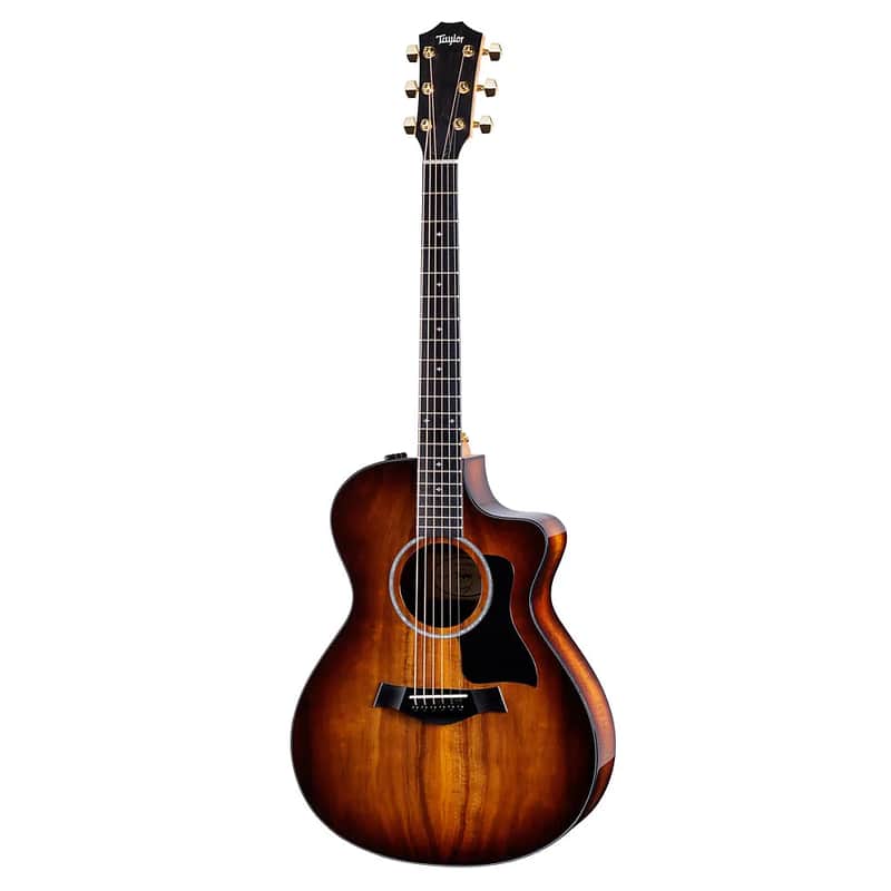 Taylor 222ce-K DLX image 1