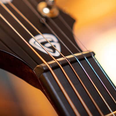 Cort LUXEII Luxe Series Frank Gambale Concert Body Mahogany Nek 6-String Acoustic-Electric Guitar w/Hard Case image 20