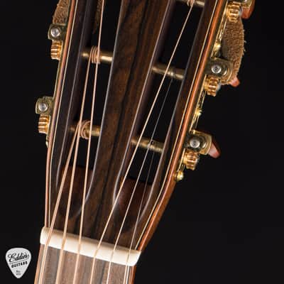 2025 - Bourgeois Victorian OMS-12 - Bearclaw Blue Sinker Sitka Spruce & Cocobolo image 7