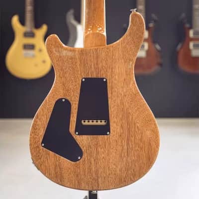 PRS GUITARS - CUSTOM 24 CARROLL BLUE image 5
