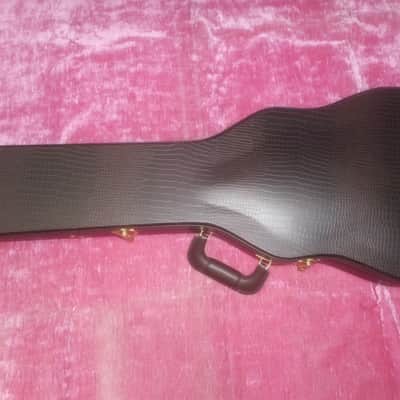 Canadian Made Les Paul Standard-Custom  Case NEW MINT Brown Alligator image 1